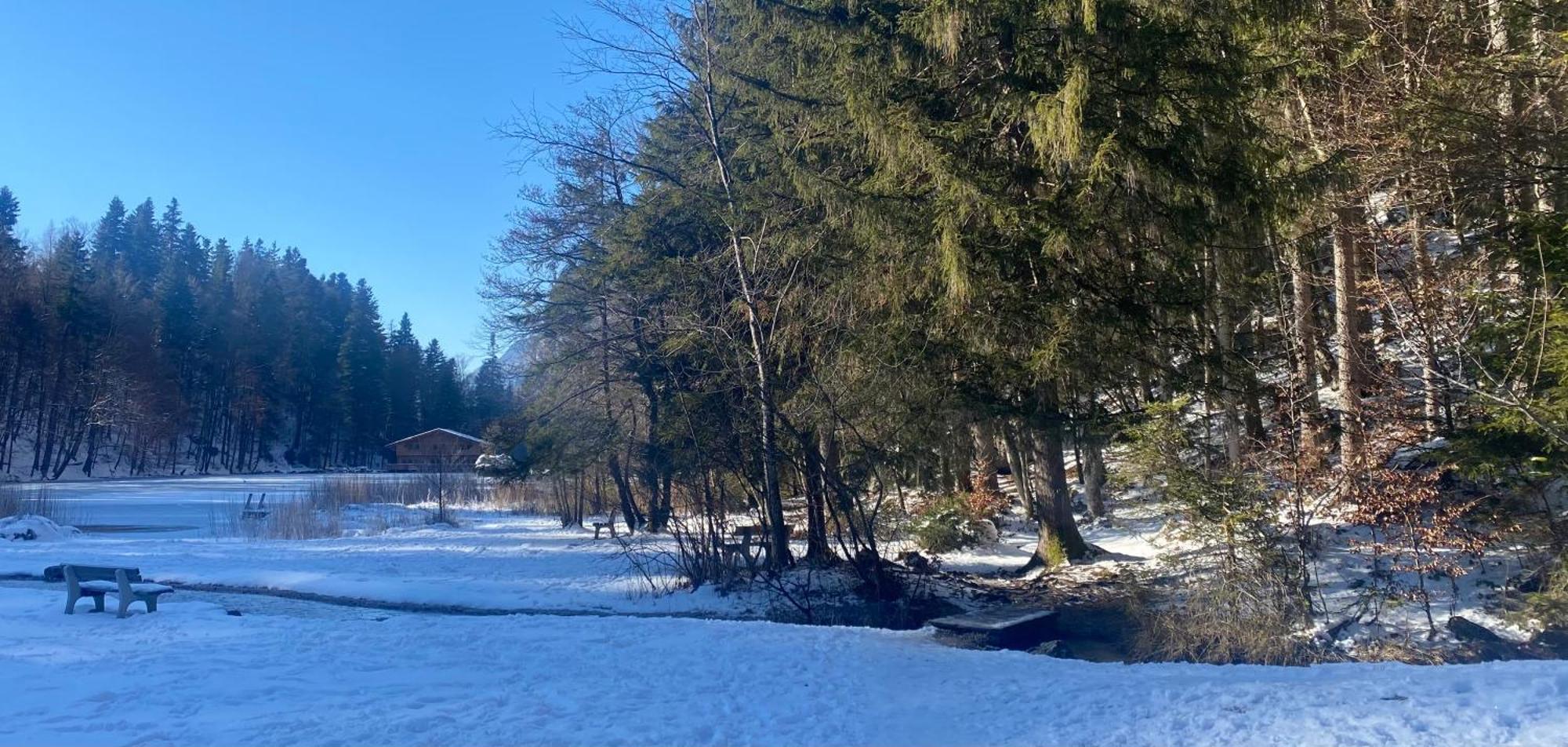 Haus Hislop Apartman Inneralpbach Kültér fotó